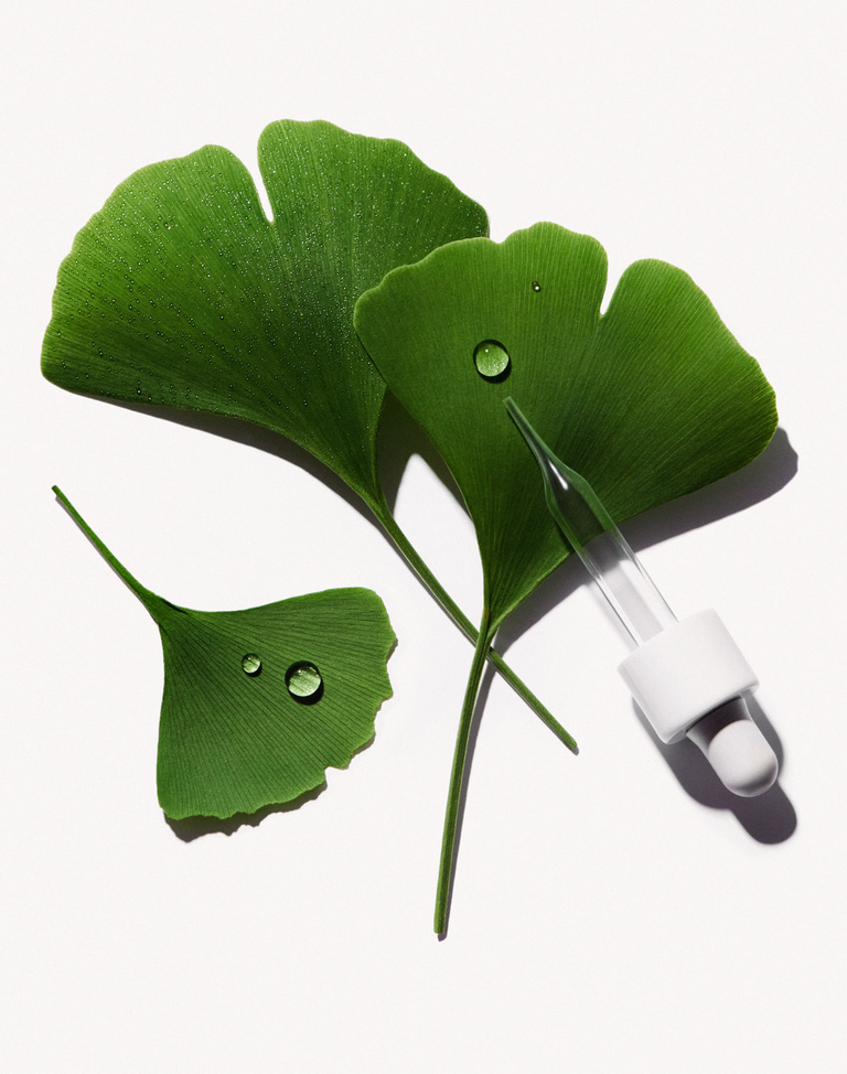 Complice -  FS_Ginkgo_1.jpg