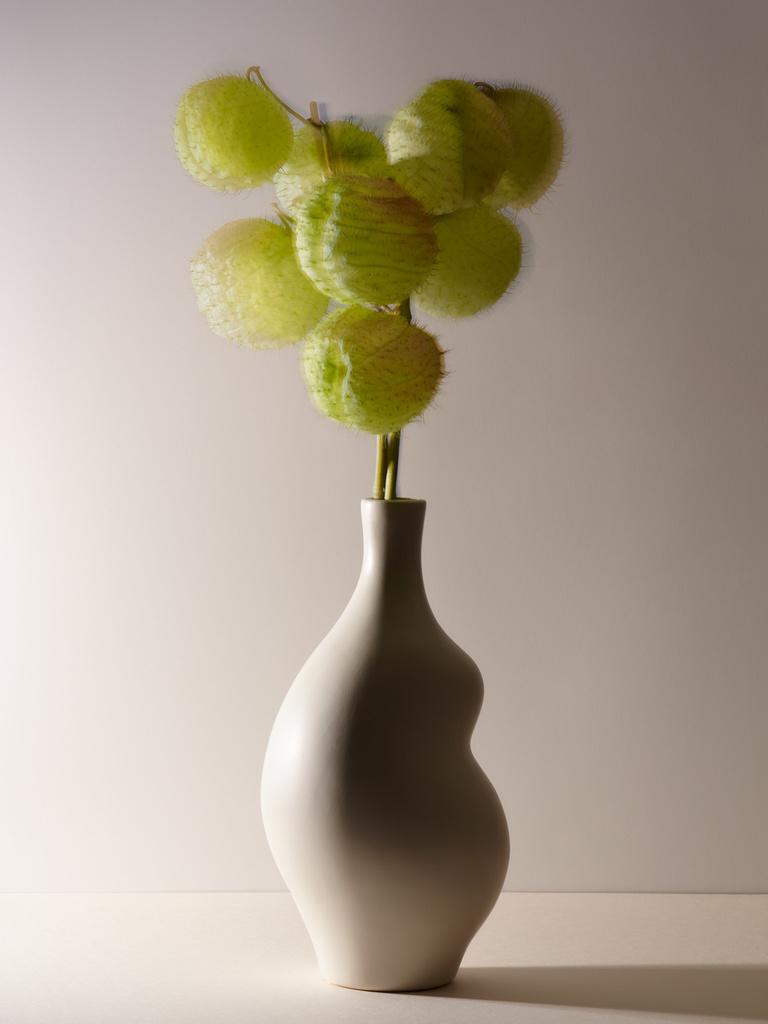 Complice -  Vase_retouch 1_WEB.jpg